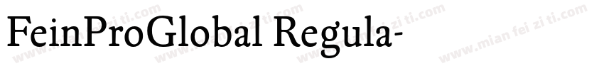 FeinProGlobal Regula字体转换